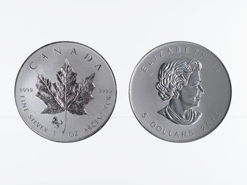 Kanada 5$ Maple Leaf 2014, Privy Mark Pferd