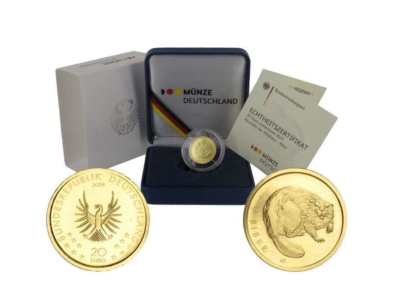 BRD 20 Euro Gold, 2024 F,  Rückkehr der Wildtiere Biber, (B+C+U)