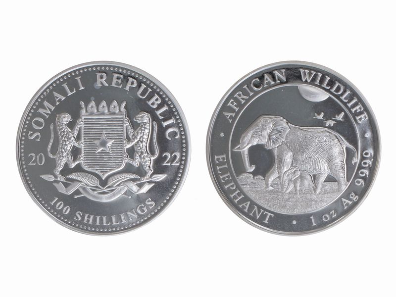 Somalia 100 Sh. Elefant  2022, 1 Unze