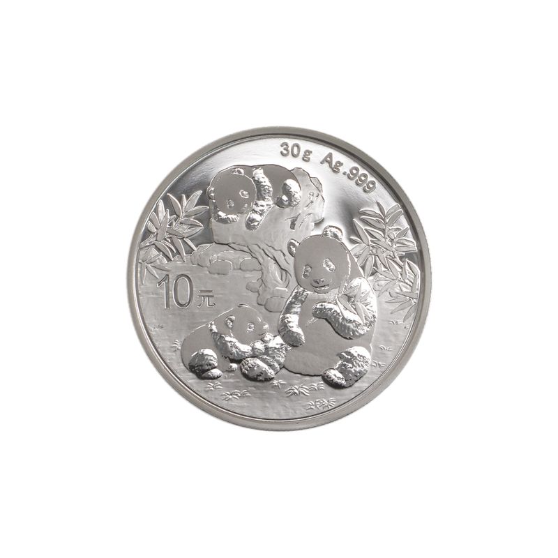 China 10 Yu Panda  2025,   Silber