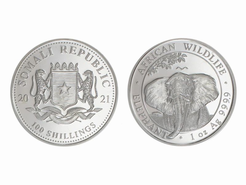 Somalia 100 Sh. Elefant  2021, 1 Unze