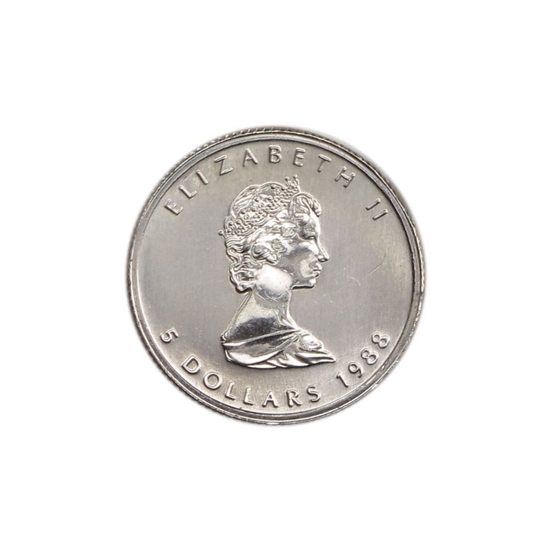 Kanada 50 Dollar Maple Leaf, 1/10 oz Platin