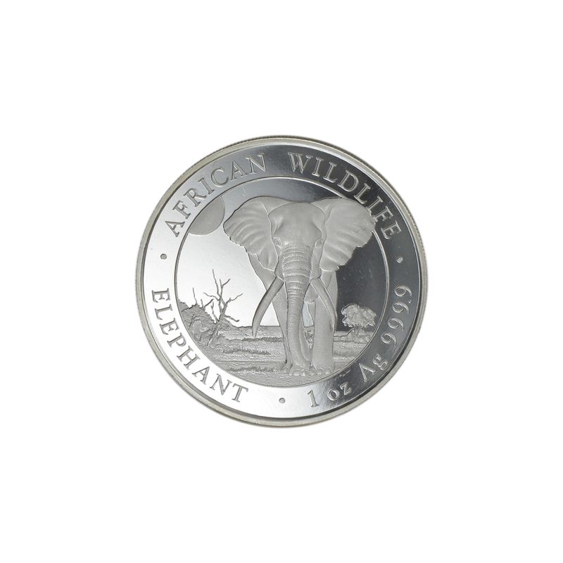 Somalia 100 Sh. Elefant  2025, 1 Unze