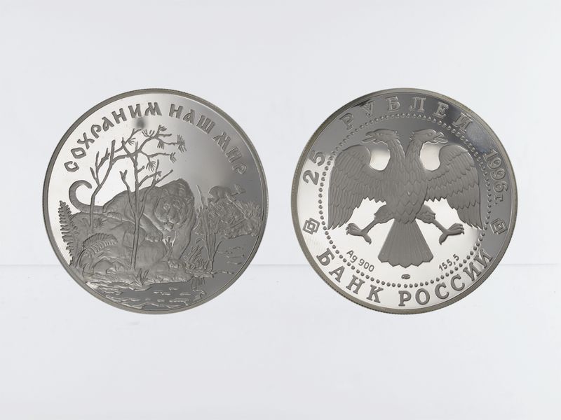 Russland 25 Rubel 1996 Amur Tiger PP, 5 oz Silber