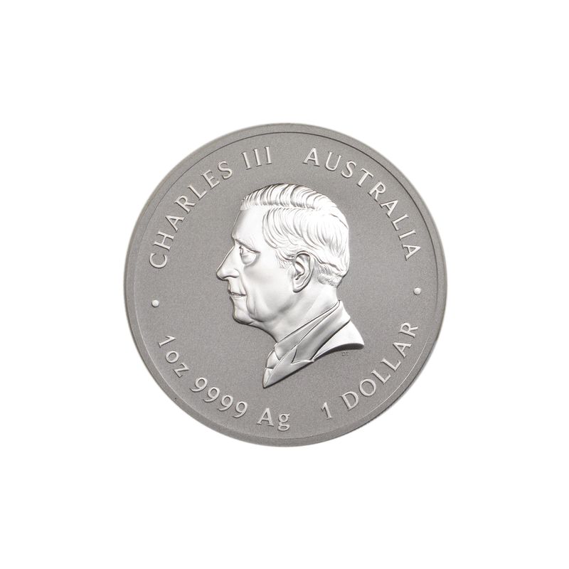 Australien 1$ Schlange Lunar III 2025, 1 oz  Silber
