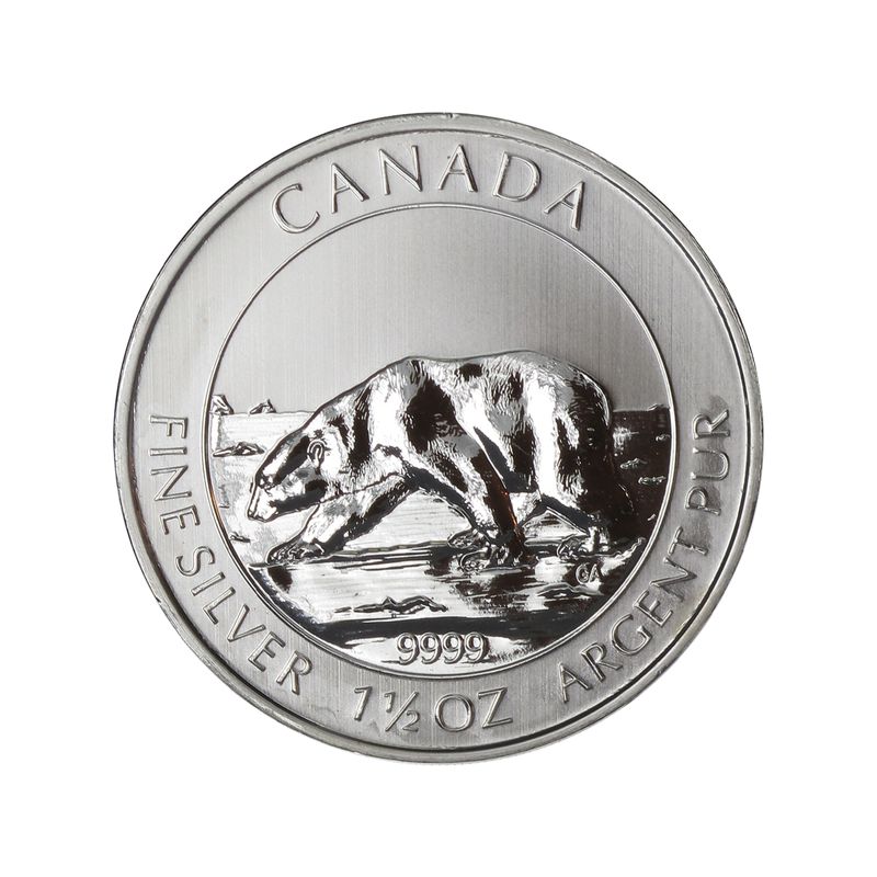 Kanada 8$  Wildlife Polarbär ,  1 1/2 oz  2013