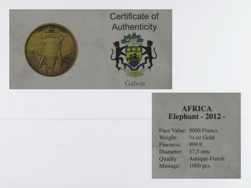 Gabun Elefant 2012