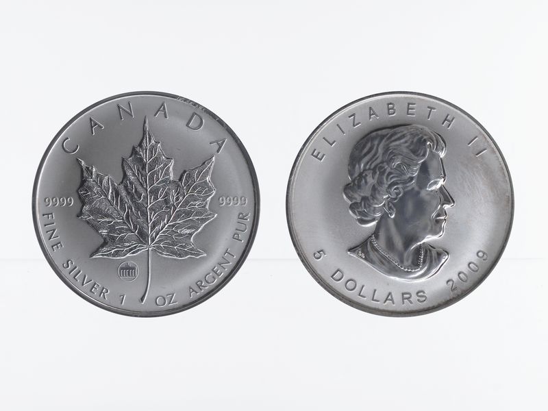Kanada 5$ Maple Leaf 2009, Privy Mark  Brandenburger Tor