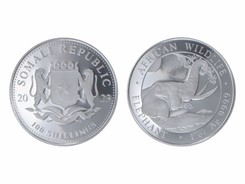 Somalia 100 Sh. Elefant  2023, 1 Unze