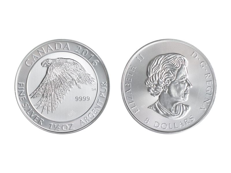 Kanada 8$  Wildlife Schneefalke ,  1 1/2 oz  2016