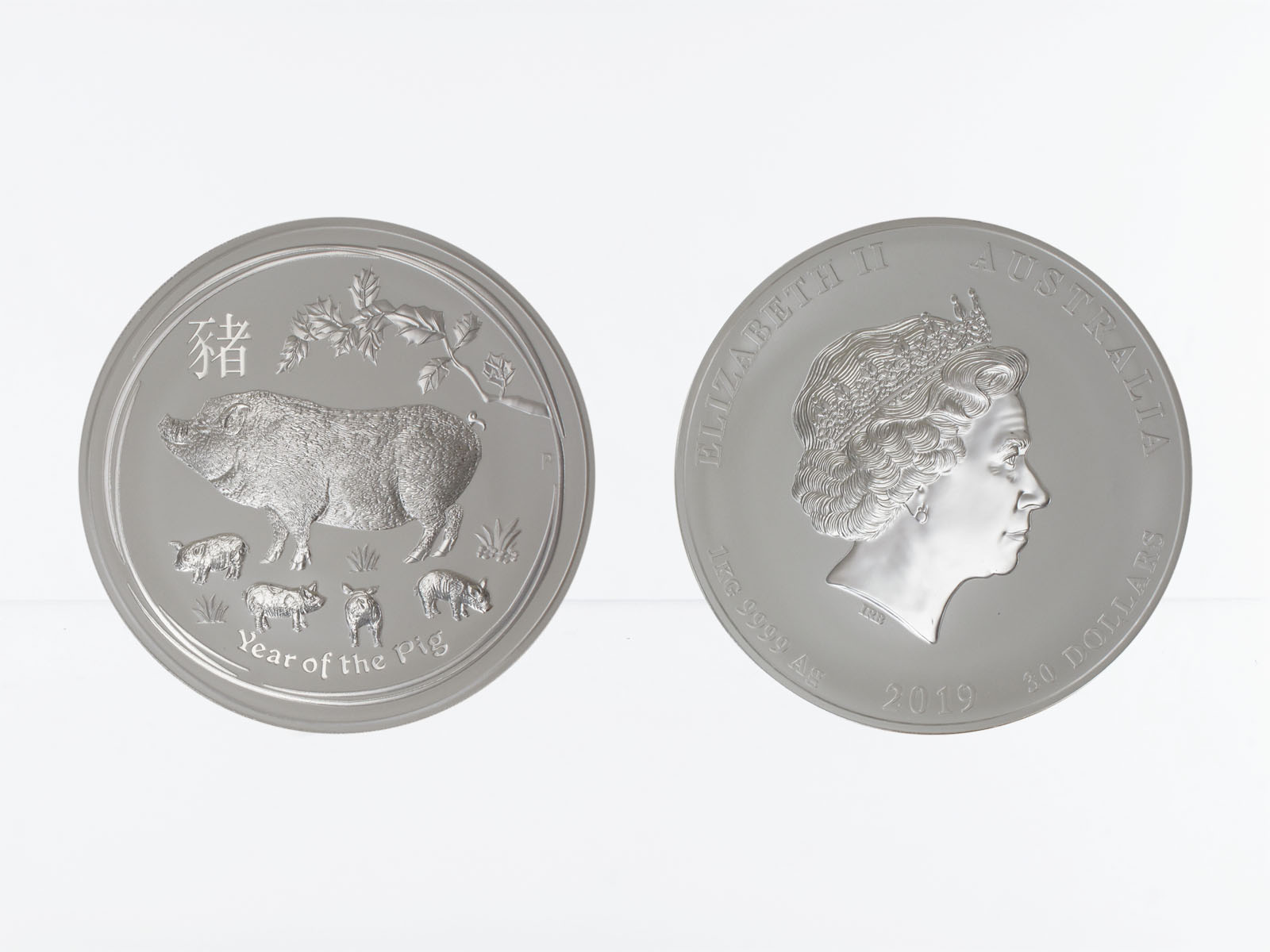 Australien 30 $ Schwein Lunar II  2019, 1 Kilo  Silber