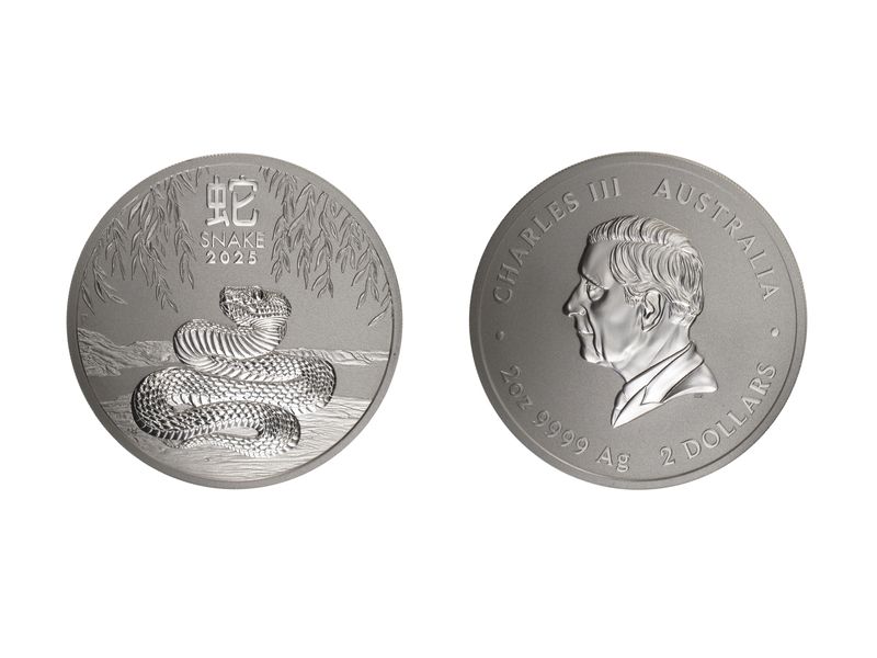 Australien 2$ Schlange Lunar III  2025, 2 oz  Silber