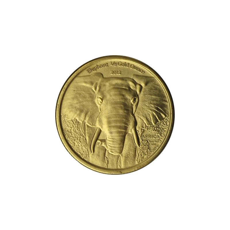 Gabun Elefant 2012