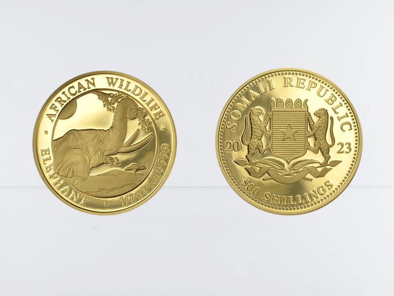 Somalia 500 Sh. 1/2 oz Elefant 2023, 