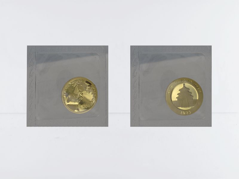China 100 Yu  Panda 2023 Folie, 8 Gramm Feingold