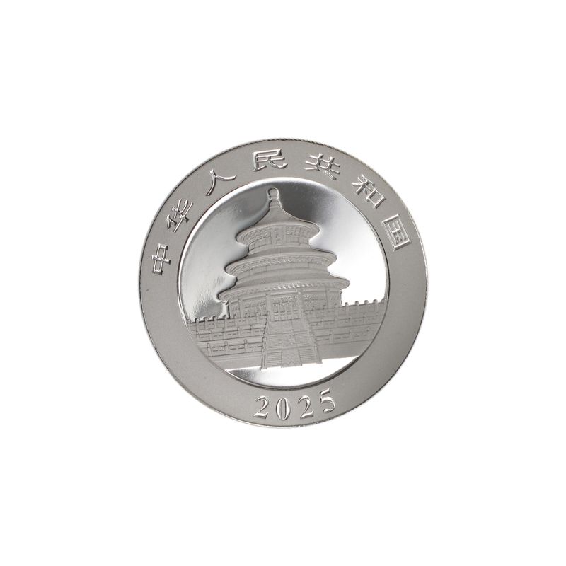 China 10 Yu Panda  2025,   Silber