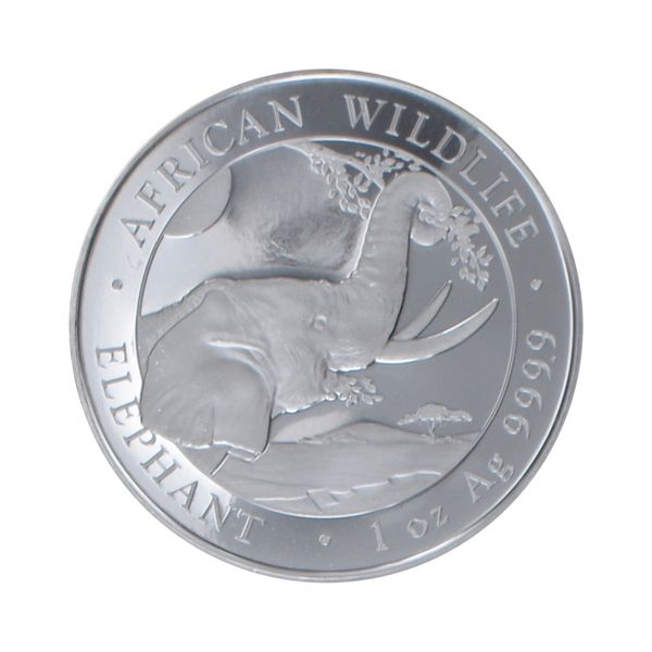 Somalia 100 Sh. Elefant  2023, 1 Unze
