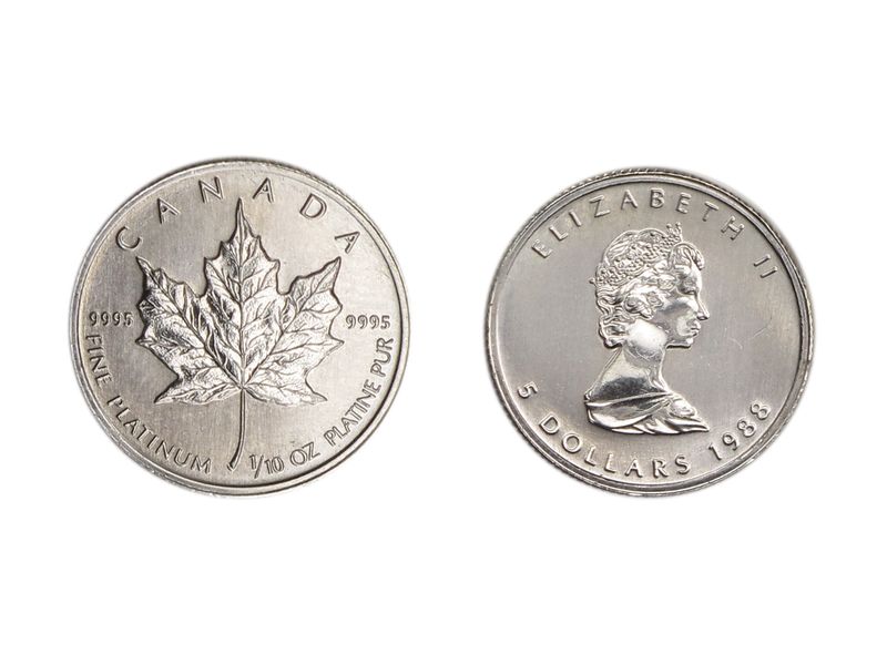 Kanada 50 Dollar Maple Leaf, 1/10 oz Platin