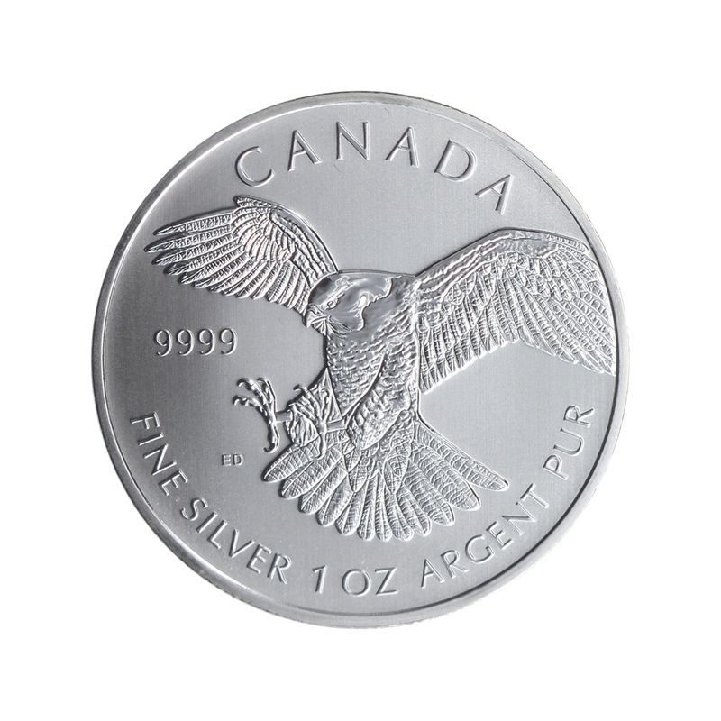 Kanada 5$ Birds of Prey Peregrine Falcon 2014 Tube, 25 x 1 Unze,