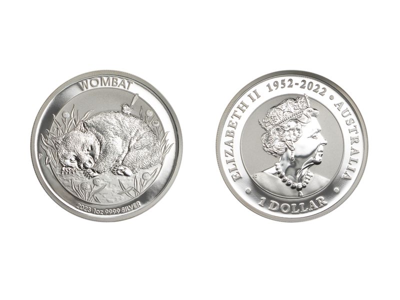 Australien 1$ Wombat 2023, 1 oz  Silber