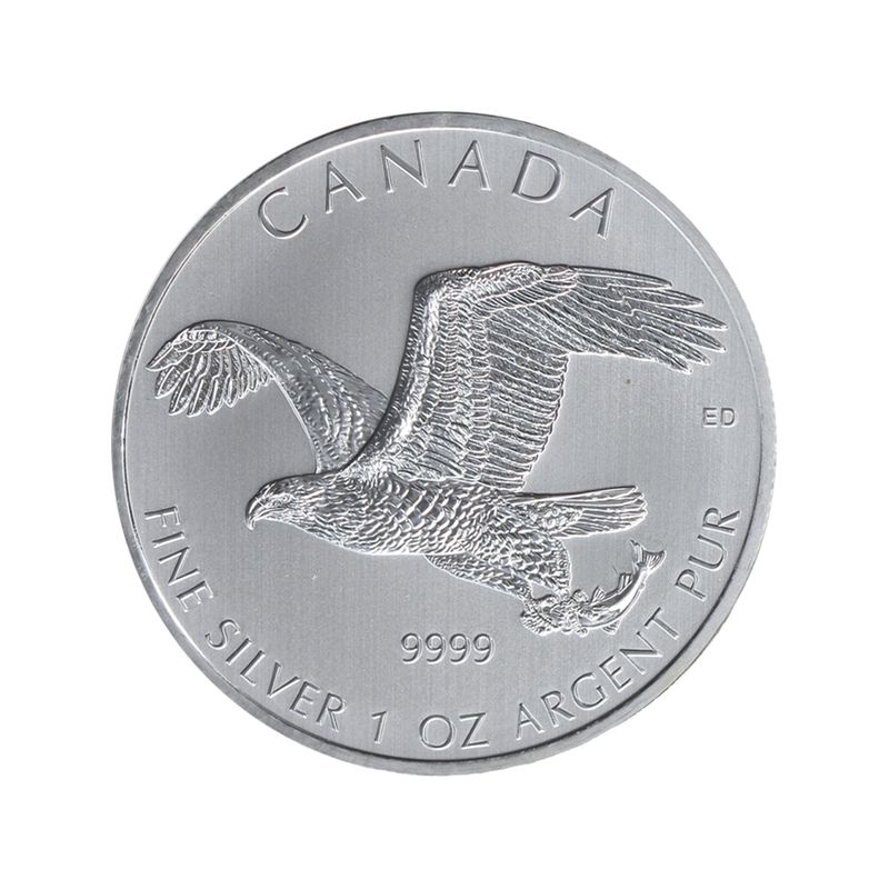 Kanada 5$ Birds of Prey Bald Eagle 2014 Tube,  25 x 1 Unze,