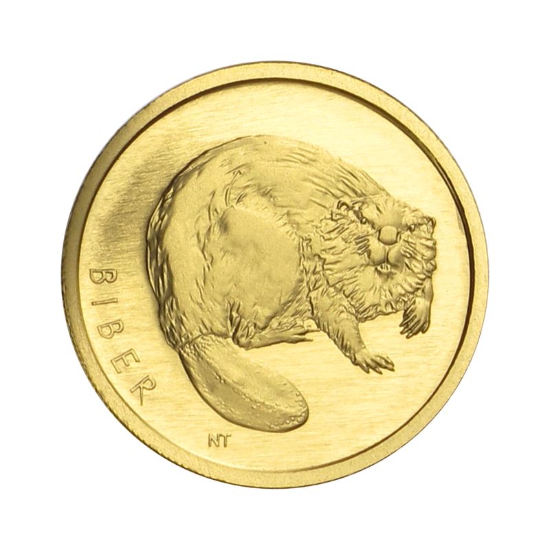 BRD 20 Euro Gold, 2024 F,  Rückkehr der Wildtiere Biber, (B+C+U)