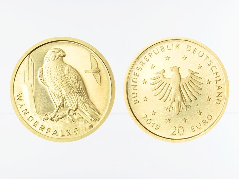 BRD 20 Euro Gold, 2019 D,  Heimische Vögel Wanderfalke