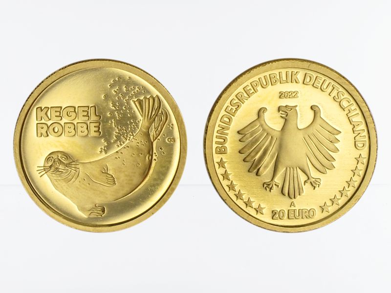 BRD 20 Euro Gold, 2022,  Kegelrobbe ohne (B+C)