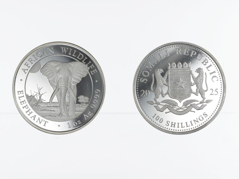 Somalia 100 Sh. Elefant  2025, 1 Unze