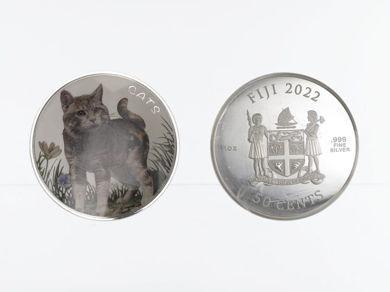 Fiji 1/2 $  Cats coloriert 2022,  1 Unze