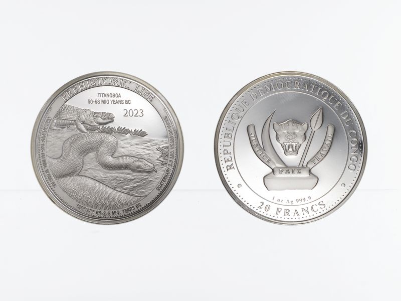 Congo Prehistoric Life Titanoboa 2023 , Silber