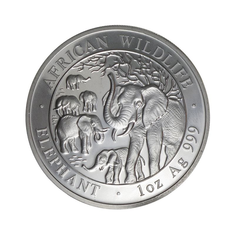 Somalia 100 Sh. Elefant  2008, 1 Unze