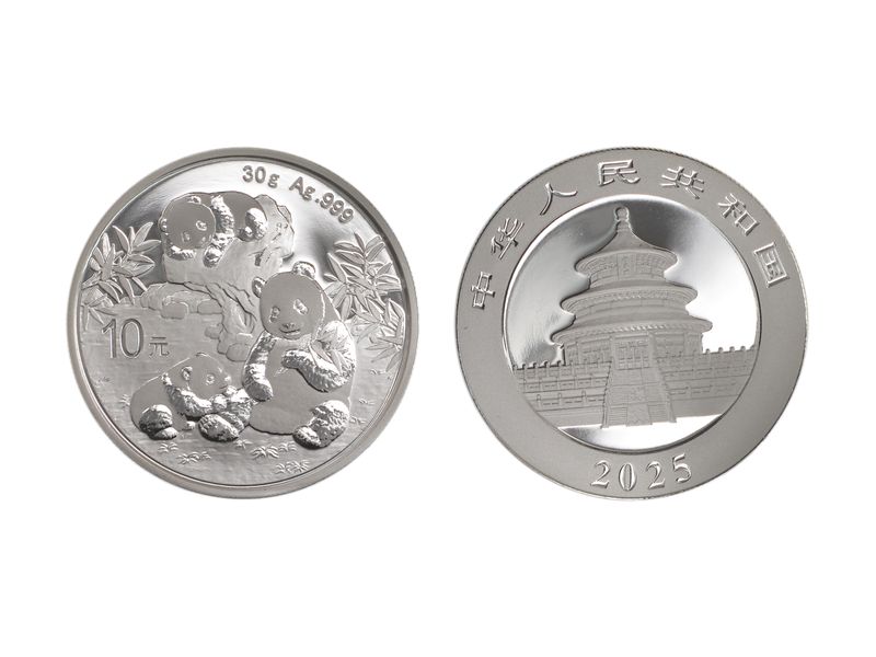 China 10 Yu Panda  2025,   Silber