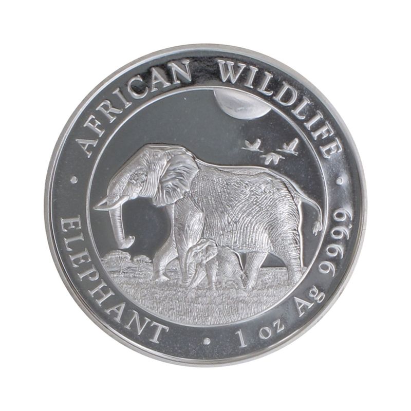 Somalia 100 Sh. Elefant  2022, 1 Unze