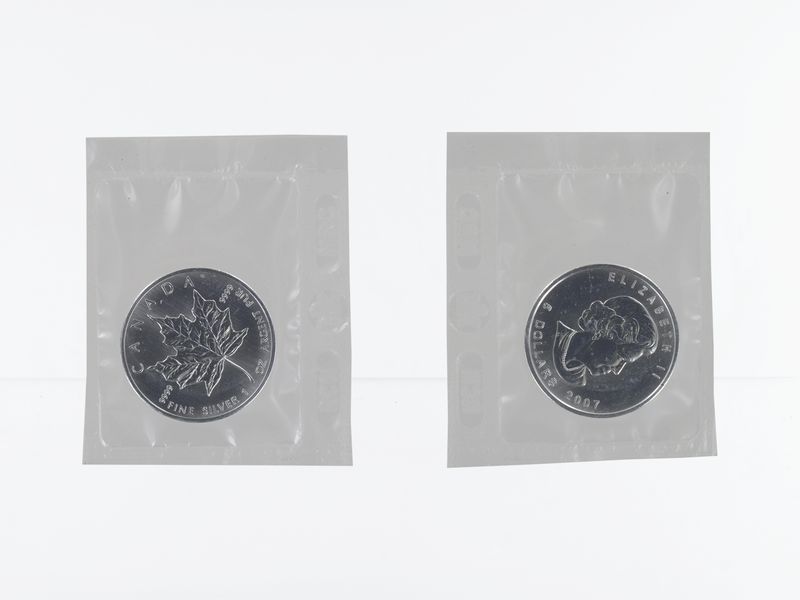 Kanada 5$ Maple Leaf 2007, 1 oz  Silber Folie