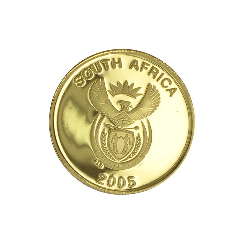 Südafrika Fussball-WM 2006, Fußball 2005, PP 