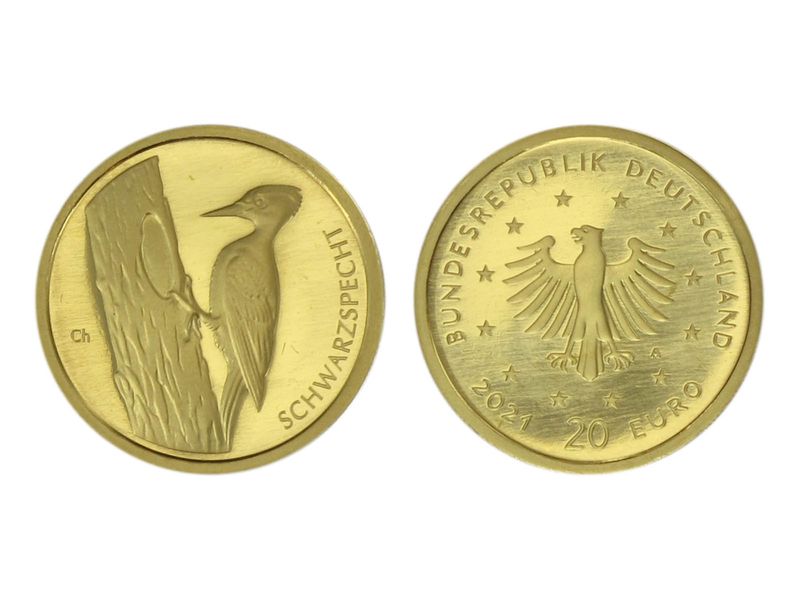 BRD 20 Euro Gold, 2021 F,  Heimische Vögel Schwarzspecht