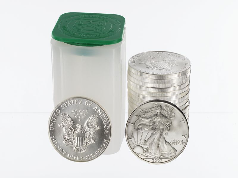USA 1 Dollar Silver Eagle 2007, Tube mit 20x 1 Unze